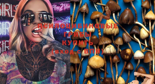 спиды Нефтекумск